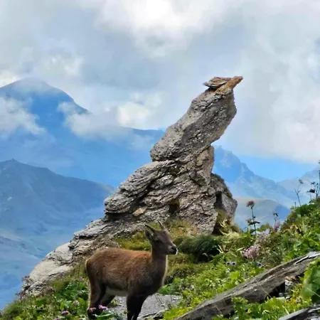Areches, 4 Pers, Telesiege A 5 Mn A Pied, Grande Terrasse En Rdj Appartamento
